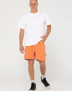 Peto Elastico Corto><noscript><img width=